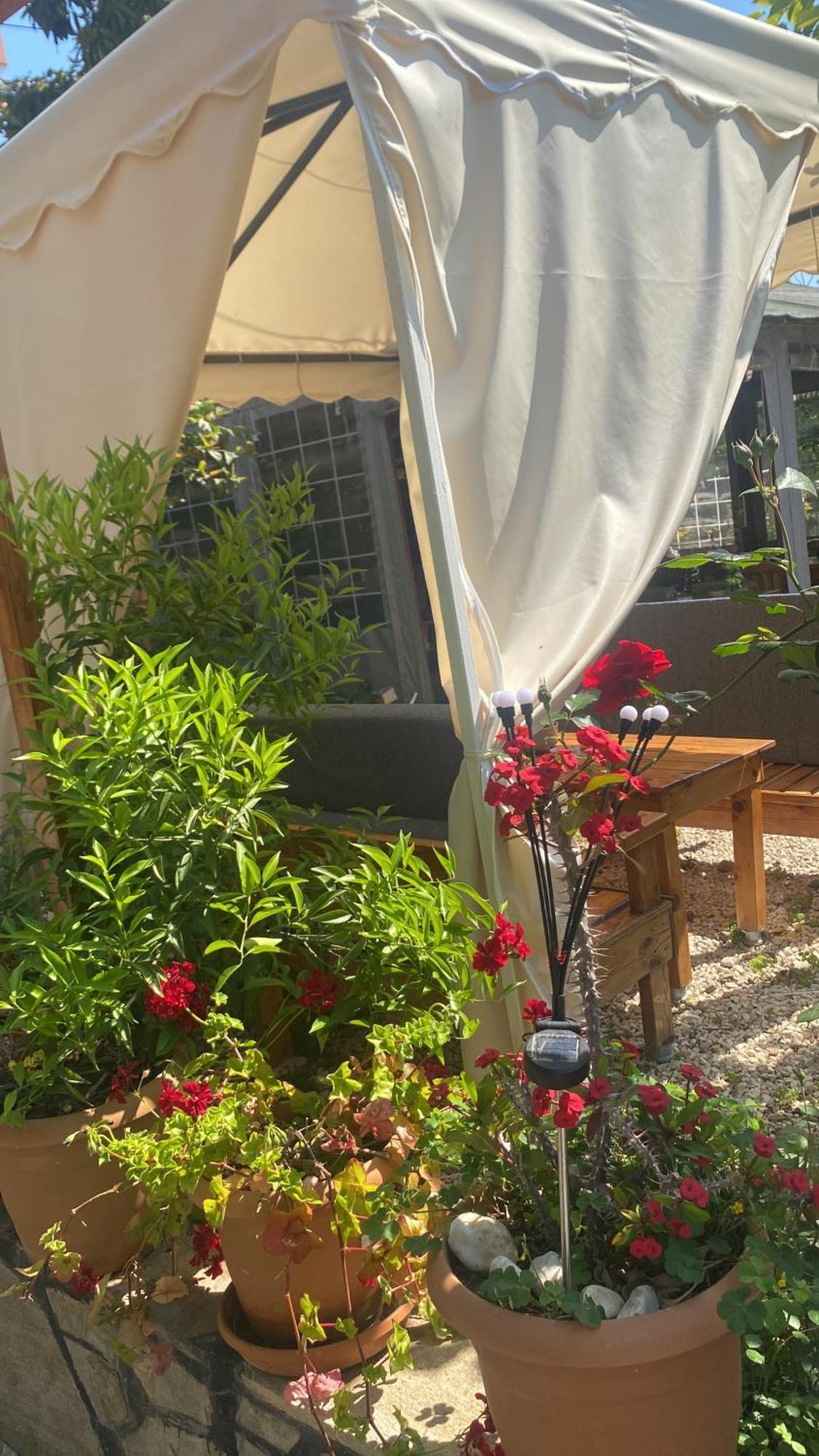 Çıralı Rosemary Pansiyon מראה חיצוני תמונה