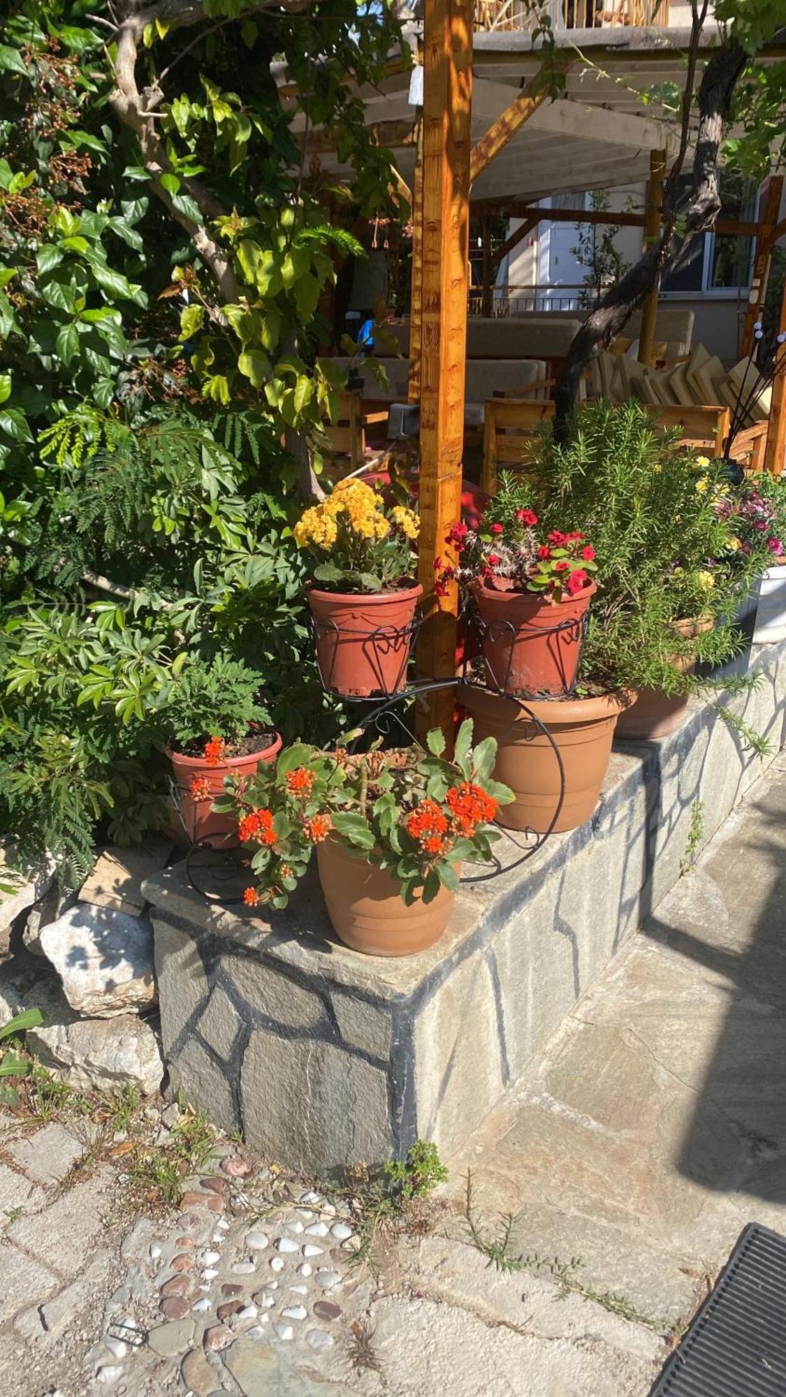 Çıralı Rosemary Pansiyon מראה חיצוני תמונה